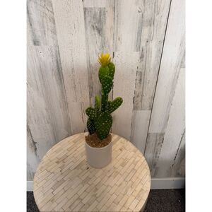 Artificial Cactus Decor (AS-IS)